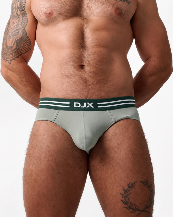 SAGE Brief
