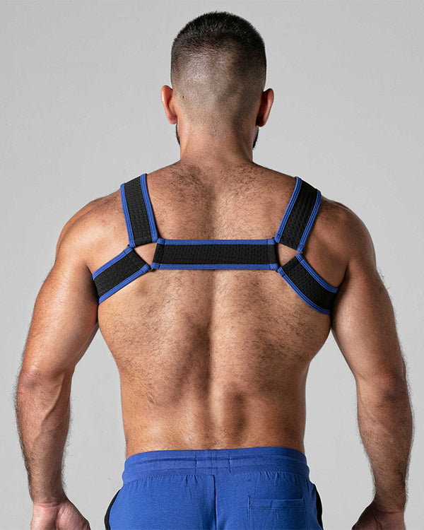 Look at Harness