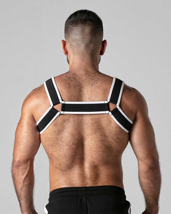 Look at Harness