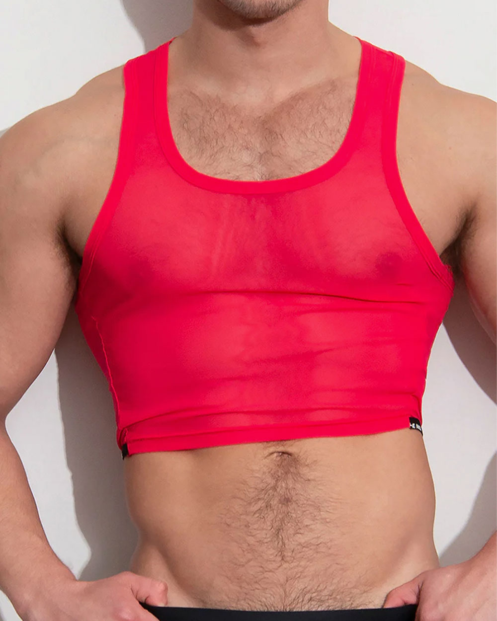 NRG Mesh Crop Top