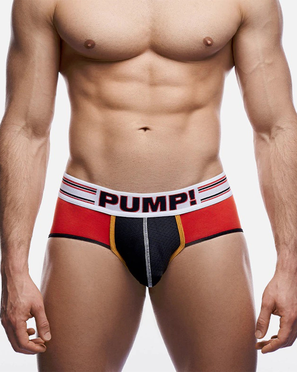 Circuit Brief