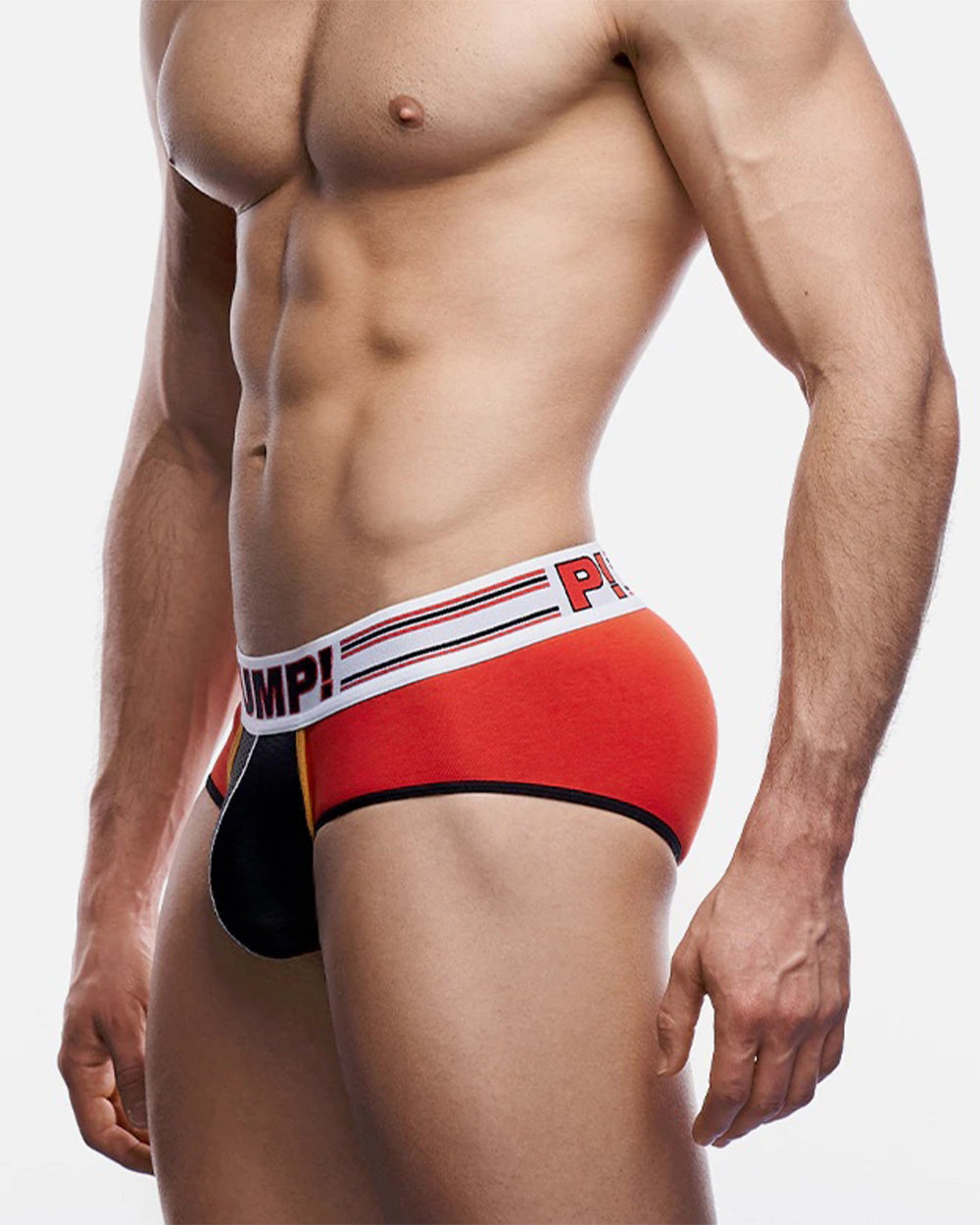 Circuit Brief
