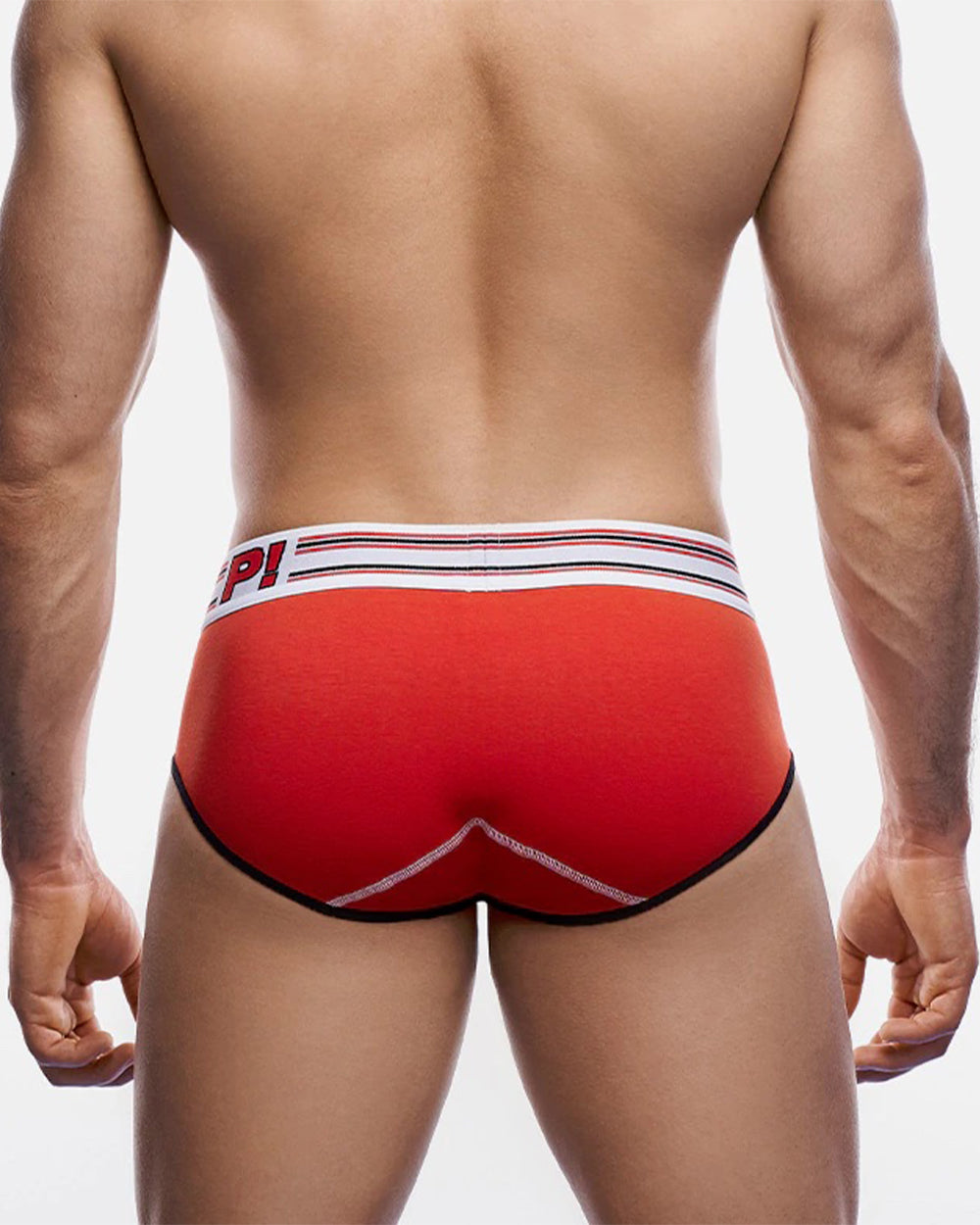 Circuit Brief