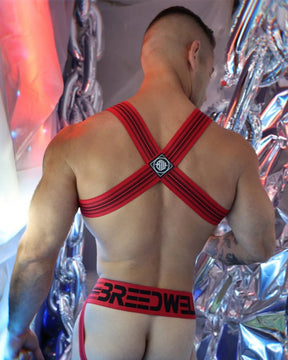 Cumdump Bulldog Harness