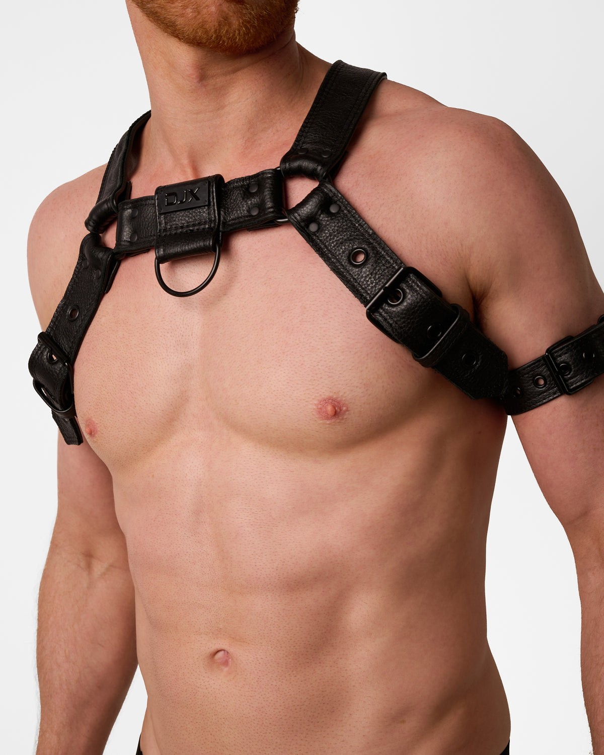 Folsom Leather Harness