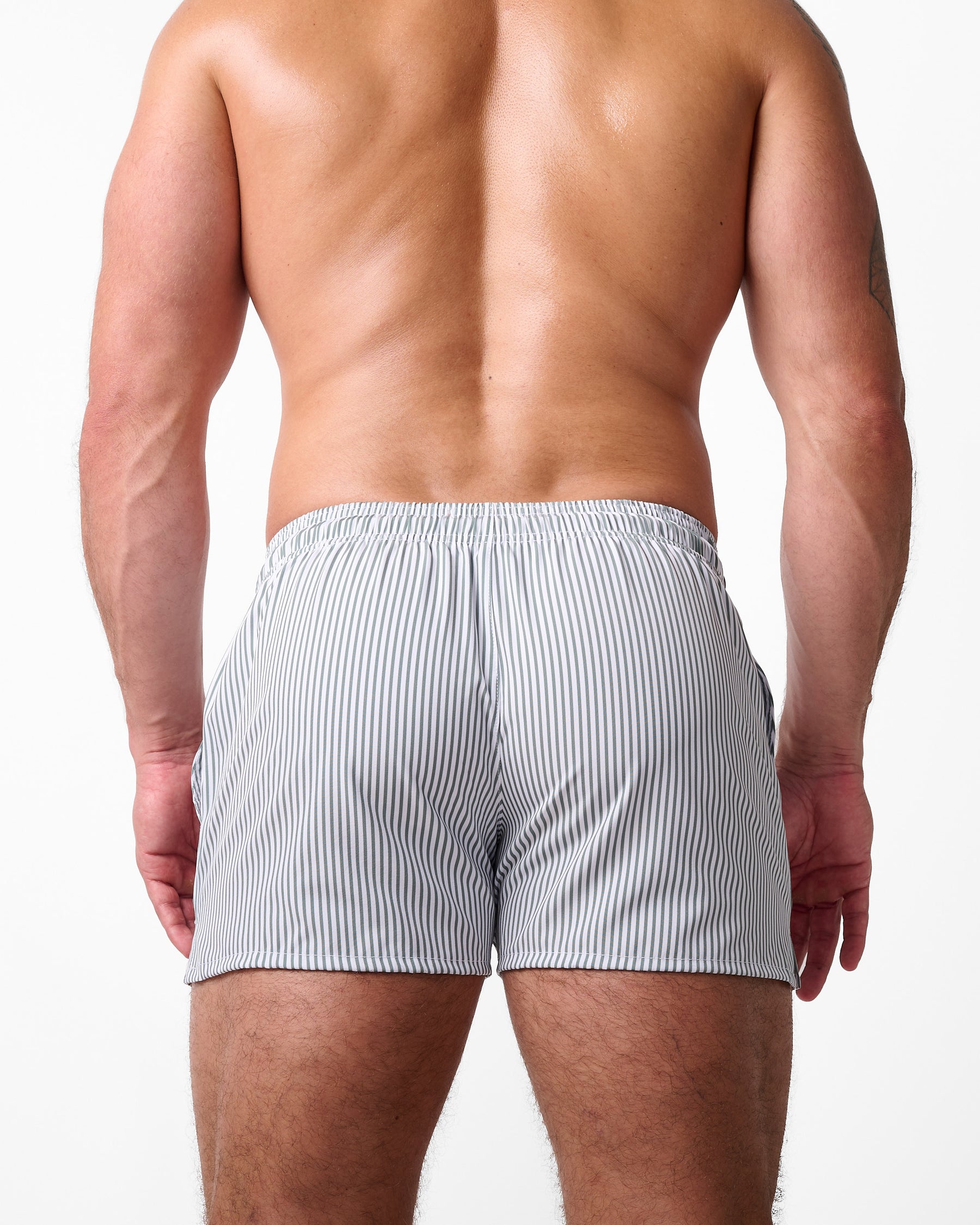 Titan Swim Short - Sage Stripe