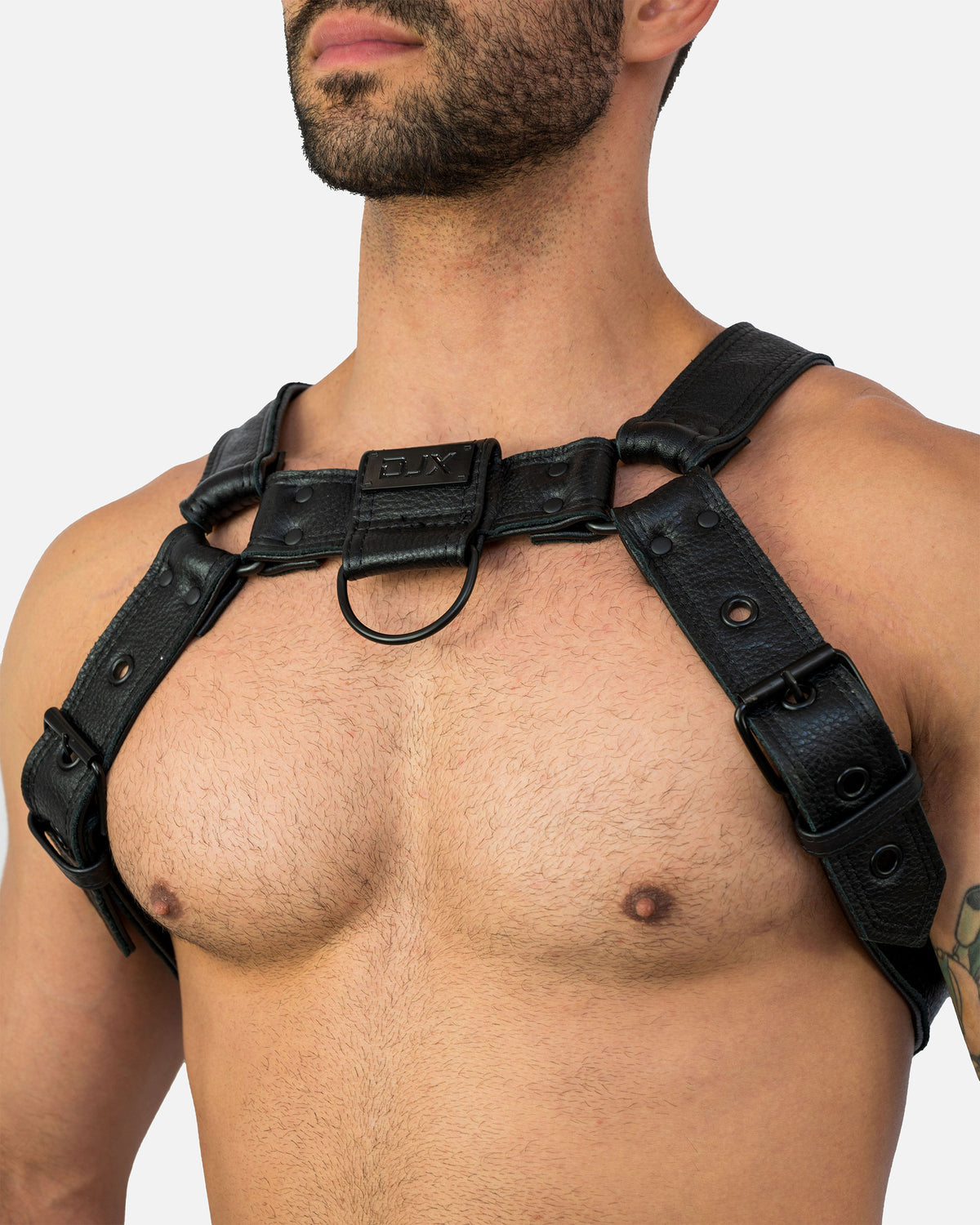 Folsom Leather Harness