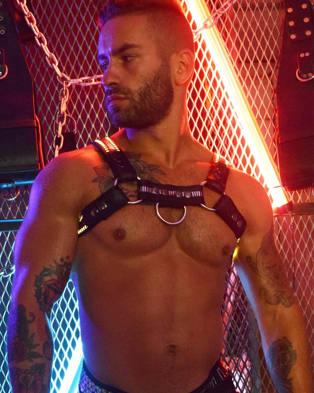 Mirror Glow Bulldog Harness